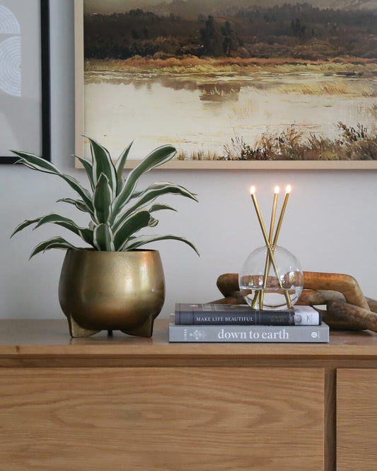 Everlasting Candles